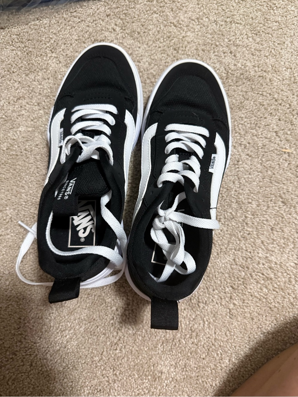Vans Black and White Low-Top Skate Sneakers